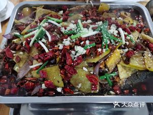 Everyday Special Grilled Fish