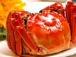Authentic Yangchenghu Crab Direct Sales Store