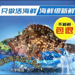 Beihaiwan Seafood Wharf (Daxuecheng Branch)