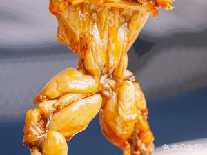 Zhiwei Meiwawa Fish (Xie Xin Tianjiao Mingcheng Store)