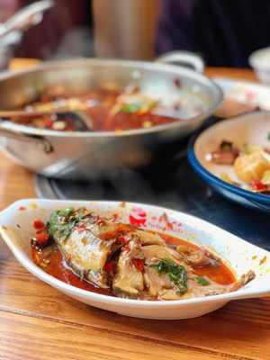 Youting Chen Carp (Headstore)