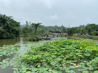 Luozhuang Lotus Mountain Villa