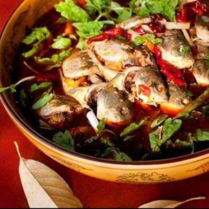 Youting Liu Sanjie Carp (Tangningfu Main Store)