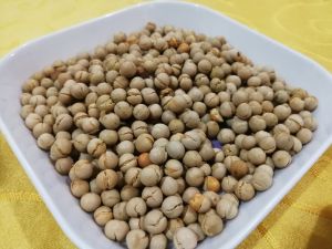 Youting Mud Carp Founder (Head Store)