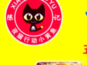 Night Cat Action Yellow Fish