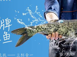 Yu Xiaoxuan Reservoir Fish (N37 Tianqin Store)