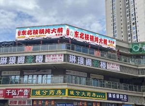 Hulanhe Northeast Iron Pot Stew Goose · Northeast Cuisine (Jingjin Aihai Branch)