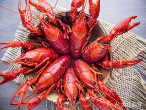 Xilegu (North-South Avenue North Section Branch)