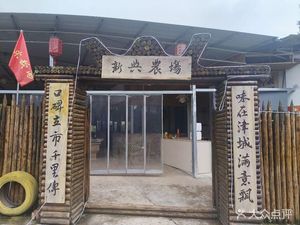 Xinxing Farm Charcoal Chicken