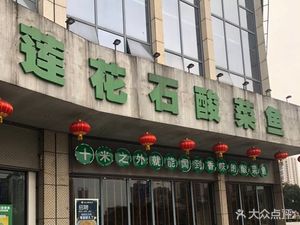 Lianhua Stone Sour Fish (Shuangfu Store)