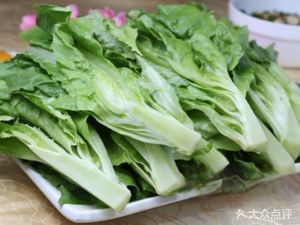 Seven Sages Street Bowl Lamb