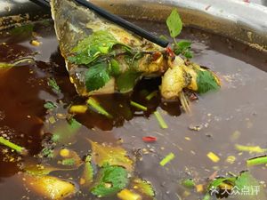 Zhang Xiaodong's Mama Fish