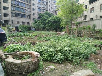 Yuhang Restaurant (Yuhang Road Branch)