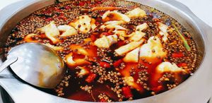 Da Zhong Ben Chi Yu Fu