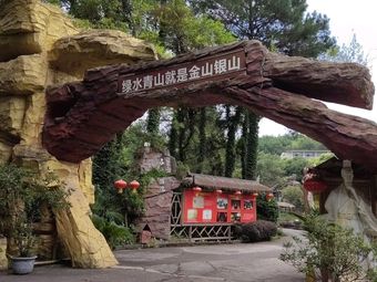 Chongqing Family Style Sour Soup Chicken · Sichuan Pepper Chicken