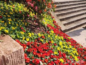 Xinsheng Pangwa Hot Pot