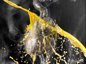 Tianyuan Chicken Broth Rice Noodles & Spicy Chili Noodles, Tianyuan Pig Intestine Chicken, Sweet and Sour Frog with Fish Head (Ronghua·Fan'er Sai)