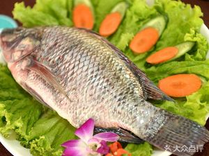 Zeng Qiao Frog and Tilapia (Hengda Zhaomushan Shanshui Cheng Branch)