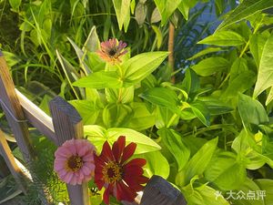 Bànshān Small Courtyard