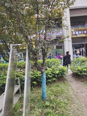 Erwa Barbecue (Yinshan Road Branch)