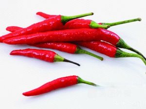 Guizhou Lamb Noodles