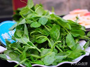 Jun Xiang Lai Ougong