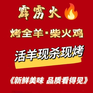 Thunder Fire Roast Lamb & Fire Chicken (Panlong Central Plaza Store)