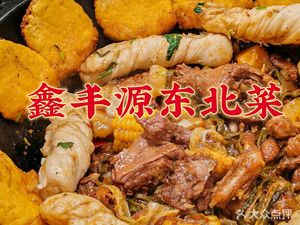 Xin Feng Yuan · Authentic Northeast Cuisine · Northeast Iron Pot Stew · Fusion Cuisine (Aijia Oujun 1st Phase Branch)