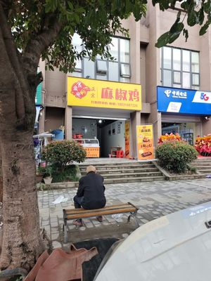Ma Jiao Chicken