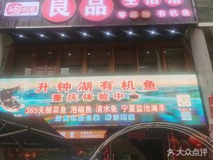 良品生活馆·升钟湖有机鱼