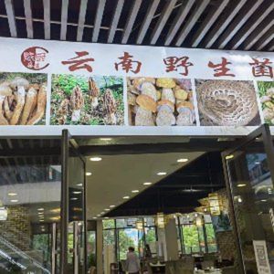 Yunnan Wild Mushroom (Qijiang Tongluowan Branch)