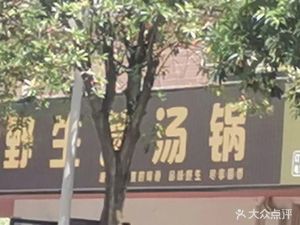 Junzi Shan • Health-Preserving Mushroom King Soup • Lotus King Soup