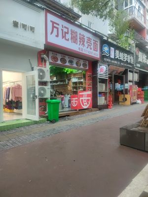 Wan's Spicy Chili Noodles (Yuntian Huaxuan Store)