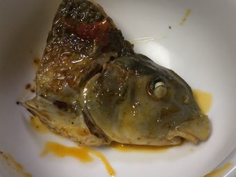 Fish Affection Never Ends Fish Farm