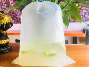 Laos Ice Coffee