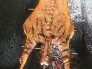 Longwan Lamb Roast City