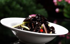 Tianyi Jia Yan
