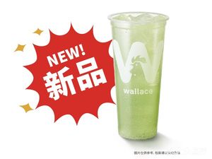 Wendy's Fried Chicken & Burgers