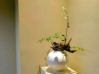 One Ripple Pure Vegetarian (Huahua Garden Branch)