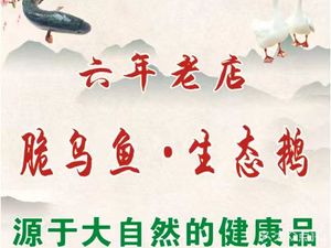 Eco Goose · Crispy Black Fish