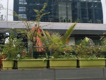 Qiao Ban · Shihui Food City (Ping'an Wealth Center Branch)