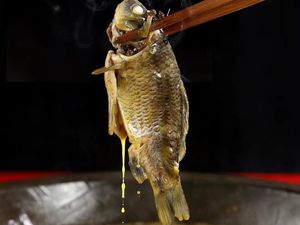 Sanyezai Stone Pot Native Crucian Carp (YuanYang Store)