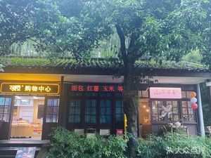 Mountains South Tea Affairs