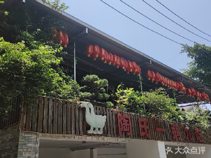 Tao's One Goose Nine Dishes (Chongwen Road Store)