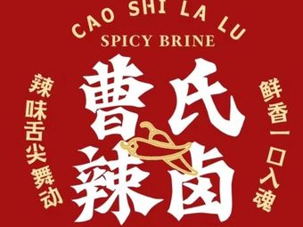 Cao's Spicy Braised
