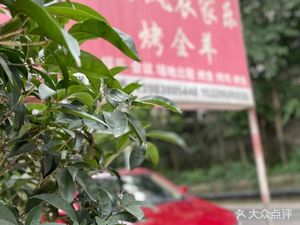 Liangfeng Farmhouse Roast Whole Lamb