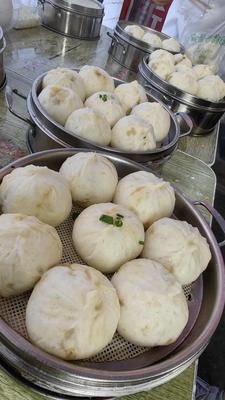 Wang's Fresh Dumpling Shop