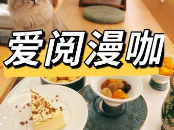 Aiyue Man Ka · Cat Café Reading · Boiling Tea by the Hearth · Cat Petting Afternoon Tea