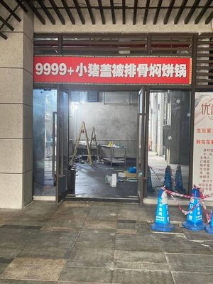 9999+ Piglet Covered with Blanket Rib Braised Pancake Pot