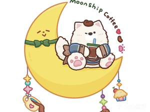 Moon Ship